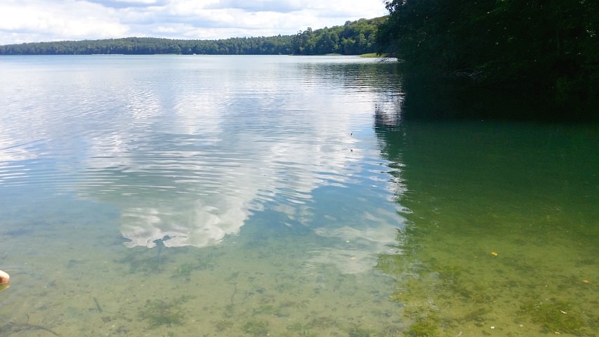 Pälitzsee09 Naturcamping am Großen Pälitzsee