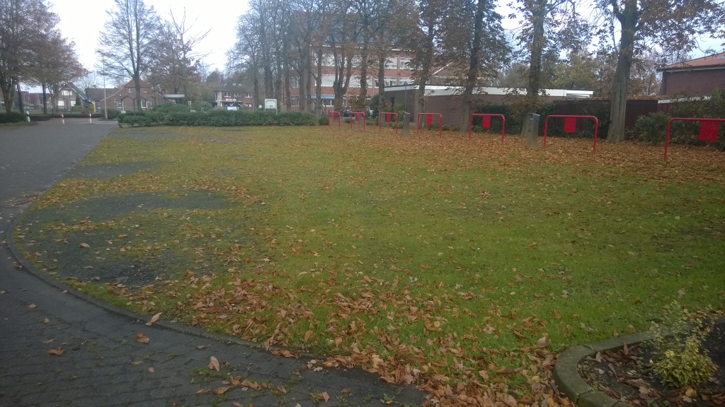 WP_20141110_019