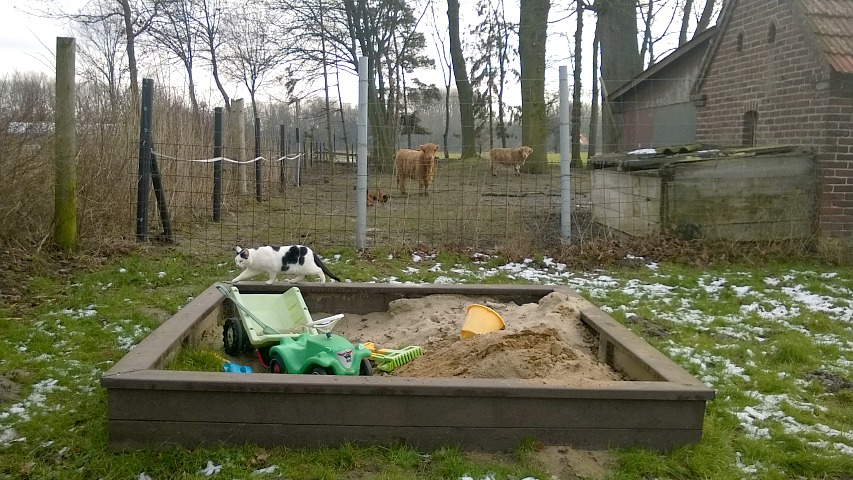 Sassendorf09