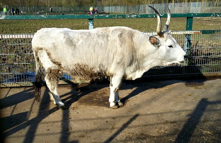 Ausflugsziele Niederrhein