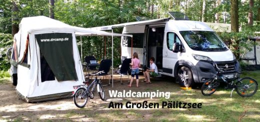 Naturcamping am Großen Pälitzsee