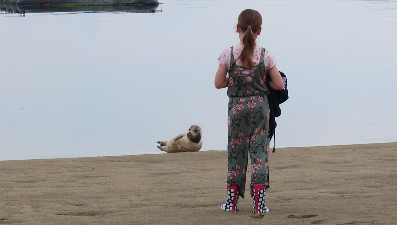 Camping Anna Friso 02 Henny und Seehund