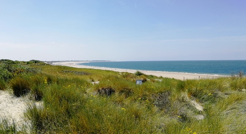 Camping Anna Friso 20